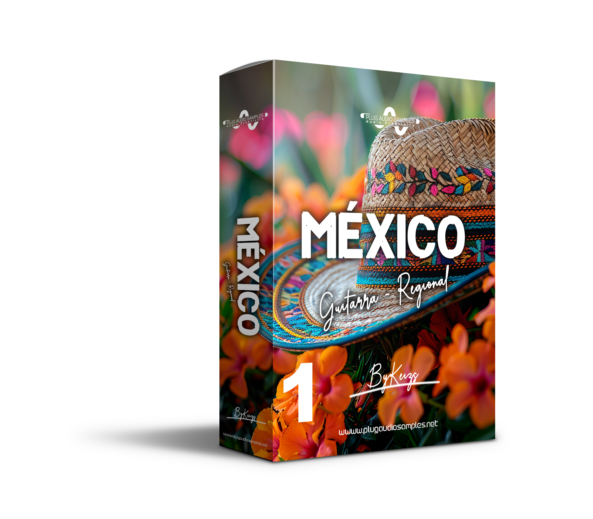 México Guitarras Regional Vol 1
