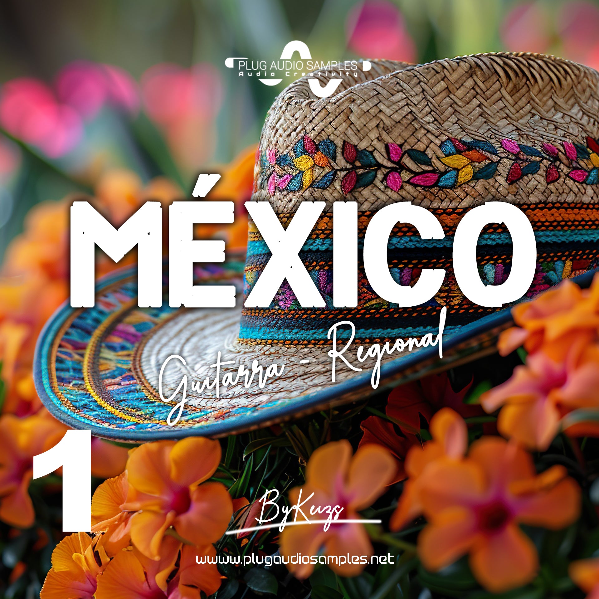 México Guitarras Regional Vol 1